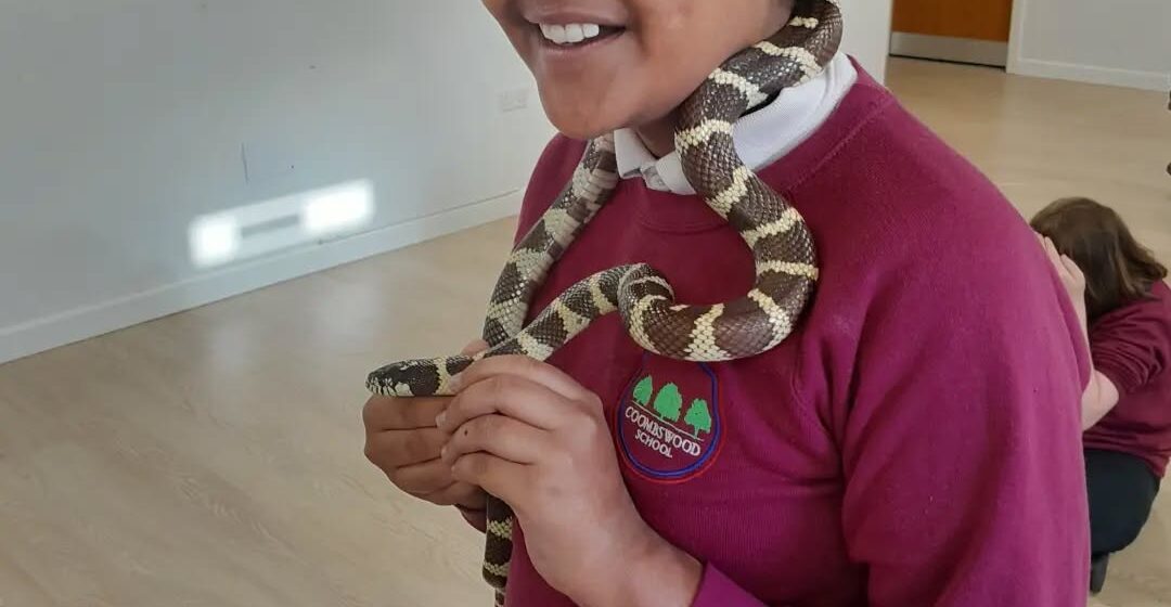 Coombswood Learners Discover the Joy of Caring for Animals