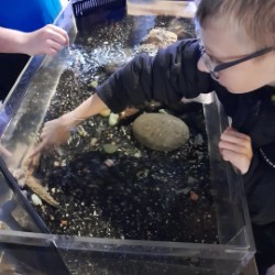 Coombswood Learners Dive into Marine Life at the Sealife Centre